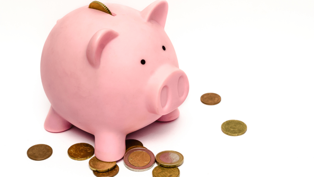 image of a piggy bank