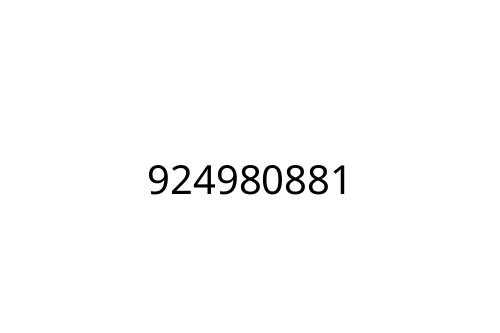 924980881