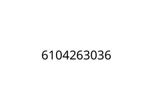 6104263036
