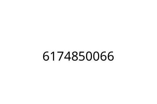 6174850066