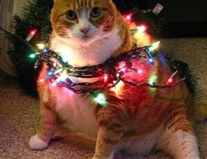 edit code gdtj45 builder software