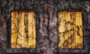 how endbugflow software can be protected