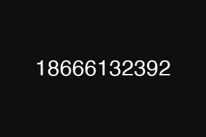 18666132392