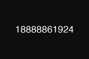 18888861924