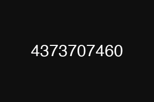 4373707460