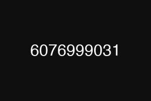 6076999031