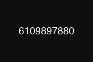 6109897880