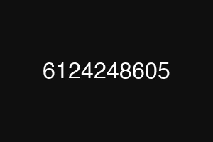 6124248605