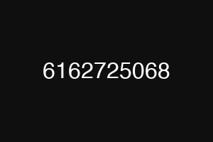 6162725068