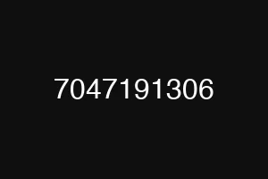 7047191306