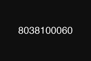 8038100060