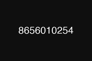 8656010254