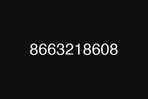 8663218608