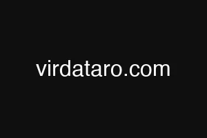 virdataro.com