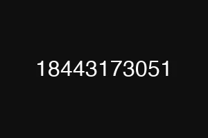 18443173051
