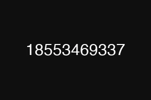 18553469337