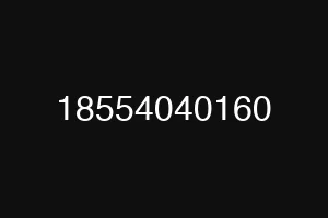 18554040160