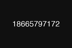 18665797172