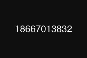 18667013832
