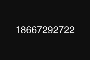 18667292722
