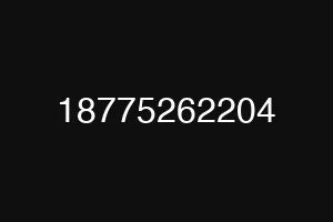 18775262204