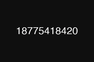 18775418420