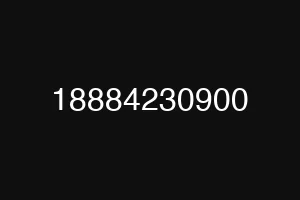 18884230900