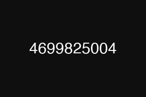 4699825004