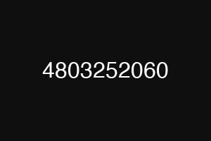 4803252060