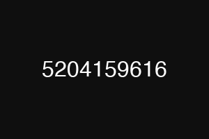 5204159616