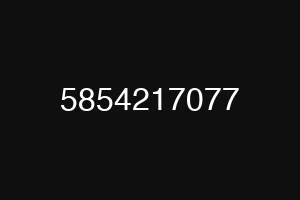 5854217077