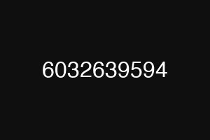 6032639594