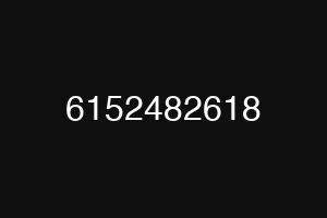 6152482618