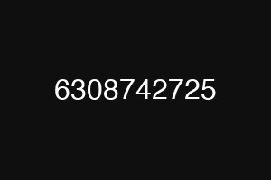 6308742725