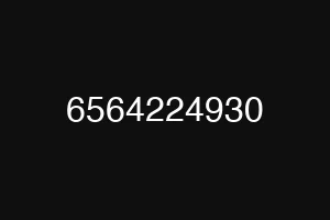 6564224930