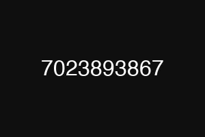 7023893867