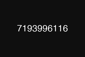 7193996116