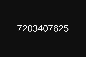 7203407625