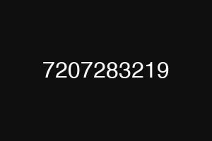 7207283219