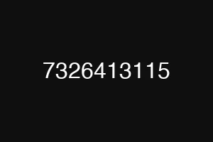 7326413115