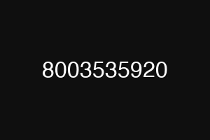 8003535920