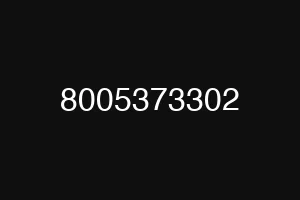 8005373302