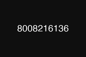 8008216136