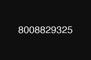 8008829325