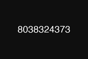 8038324373