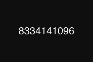 8334141096
