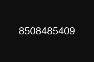 8508485409