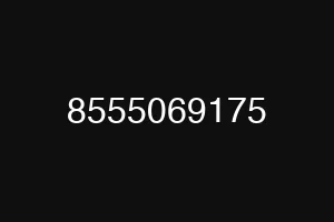 8555069175