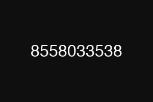 8558033538