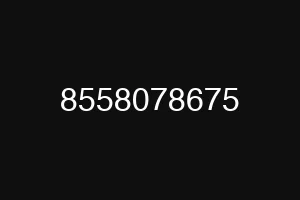 8558078675
